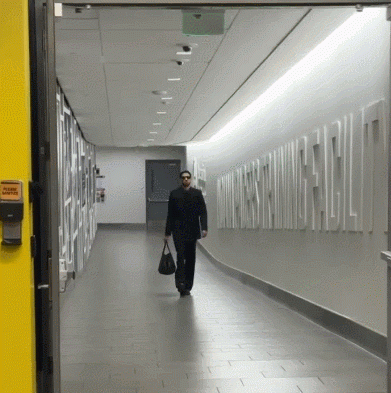 演员称幸好哈利带了去纽约的行李!后者:我是要把你们打包送回去